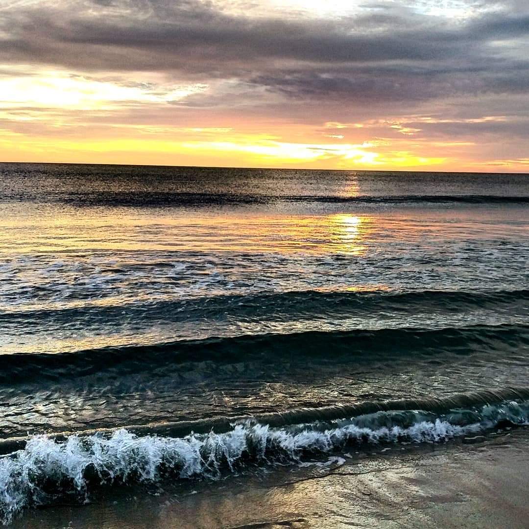 fb_img_1547857455889