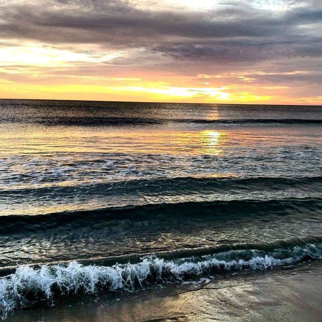 fb_img_1547857455889